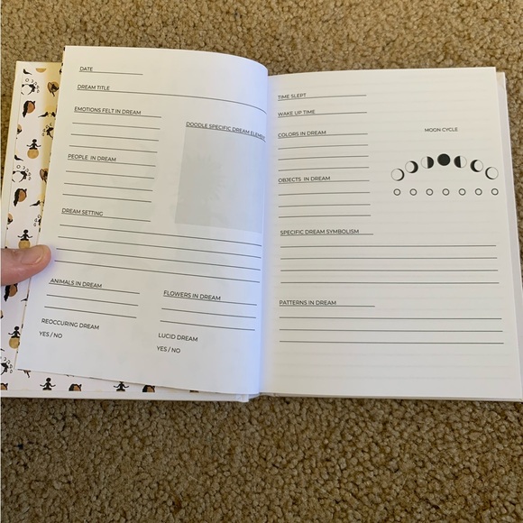 Dream Journal By Danica Gin - Thought Catalog Books - Picture 7 of 10